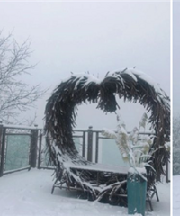 仙女山已经下雪啦,美得像童话世界