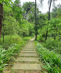 һûʲô˵ɽƺĻãҰֱ