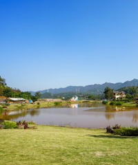 ���ǻ�����ô���ط������ͻ������ջ����̲�ƺ�Ͷ�ͯ���ֳ�