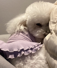 оҲڣҼҹǺҶŸɣǱʰ