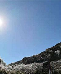 打卡金佛山冰雪节,其实没有车去那里也很方便,游玩攻略你们收好