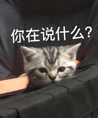 作为万年单身狗我也有了属于自己的小猫咪,我家小可乐真的太乖啦
