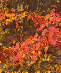 1����Сʱ�͵��Ŀ����õط��������Ķ��ÿ�������Ұ��