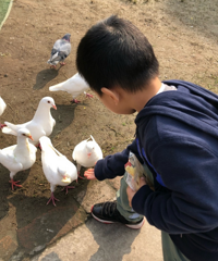 我在主城这打卡了“梁朝伟伦敦喂鸽子”同款,还能做蛋糕、拍美照