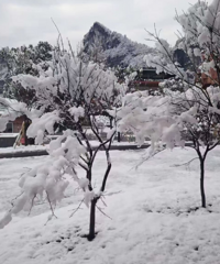 ���ɽҲ��ѩ�ˣ�����ڡ��Ư����������ĩ�ῼ��ȥ��