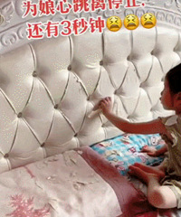 人类幼崽拆家图鉴:只要孩子够努力,迟早能家徒四壁