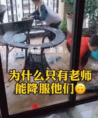 哈士奇简直太小儿科了,只要孩子够努力,迟早能让我家徒四壁
