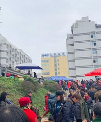 直播去大竹林赶场,发现新大陆