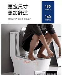 可蹲可坐?都买马桶了,为什么要蹲着?我家又不是商场