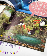 《儿童全科启蒙绘本》,澳洲绘本史上不可逾越的作品