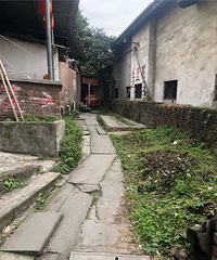 ����㻨������25Ԫһ�ݣ�����Ҳ�����о���Ϣ