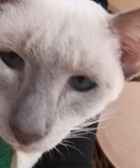 èɷһֻȳȵè˵񡰰