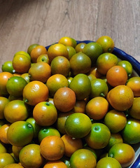 ǿ�Ұ�����һ���Ľ�ۣ����������ȴ...