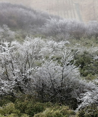 ɽϵѩȻ񣬿Ǻڡͯĸо