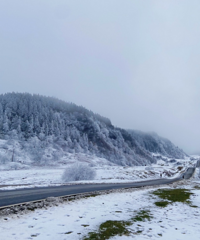 仙女山的第一场雪,美得手机都能拍大片,怎么摆POSE都不会错