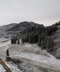 ɽϵѩȻ񣬿Ǻڡͯĸо