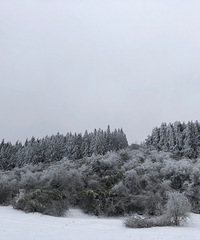 ȥŮɽˣѩǿҰǡҰ̼ˣ