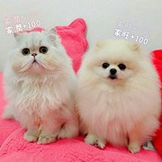 一儿一女,人生圆满了