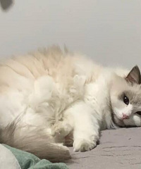 ͬ˵ҵèǴòԣʵҾܿɰѽ