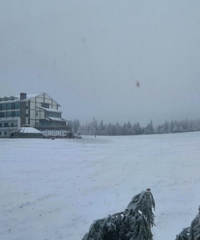 ȥŮɽˣѩӿˣģѩݵð