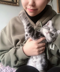 作为万年单身狗我也有了属于自己的小猫咪,我家小可乐真的太乖啦