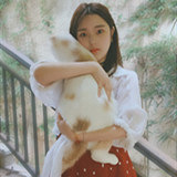 有3只猫的铲屎官相亲