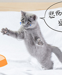 æ͵жڸӷϢȴ²һ̫