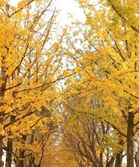 ���빫԰�����Ӻ���ͩ�����ˣ�����ȥ�����ã�������Ҫ��һ��