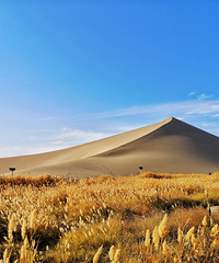 һԼݻ11죬羰̫ˣһҪ