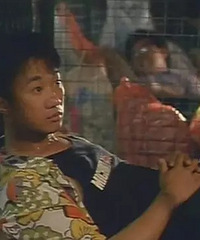 2020����߷�TVB�¾絮����