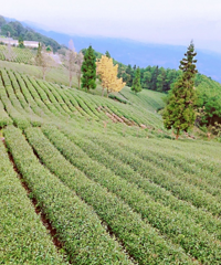 1Сʱ͵Ĳׯ̫ʺաˣûɲ