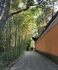去体验某大火的温泉,真心感觉性价比不高,这份米线值188元?