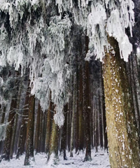 ����Ǵ򿪶������ȷ��ʽ��ѩ��������ͯ����������ů��������