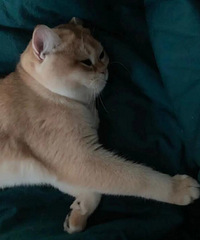 ɹɹҼҵĽ𽥲㣬ʷʵĲӴӲ濴ȥе