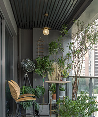 ȽҰ110ƽϷû̳԰113ƽƣһ嶯²