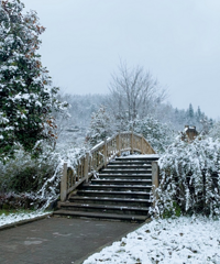 不用去森林公园一样看到超美的雪景,还能堆雪人,特色美食吃起来