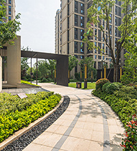 100Ԥڽ山𣿿˼̸Ӳ