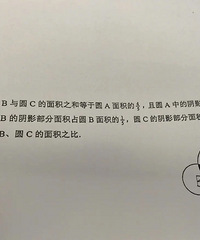 ½㷢΢²ѧ̫ˣԲ𱴶