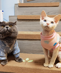 һ��ˮ��ƽ��2��ë���Ӷ������·����о��������ڱ���Ӫҵ