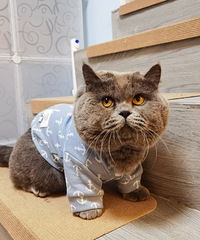 һˮƽ2ëӶ·оڱӪҵ