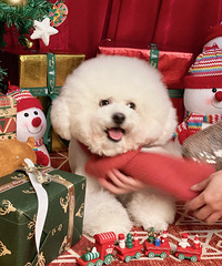 ̫ϲ���Ҽҹ��ˣ�ϲ����ר�Ŵ�����ȥ����һ��ʥ���������Ƭ