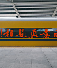 单身打卡日记:我还在,坚定而执着,还没放弃,希望与你相遇