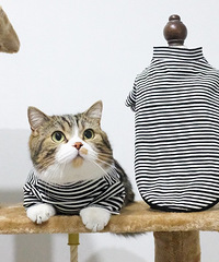想着天气变冷了趁双十二给猫主子买了一件衣服,结果买家秀翻车了