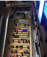 ��ĩ��ɳƺ�ӣ��������ǡ���Ѫ���ĸ�ĸ��