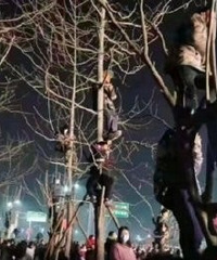 ����Ϊ�˿����˳����׷���������