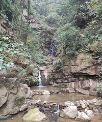 ����һ���Σ��ŷɹŵ���