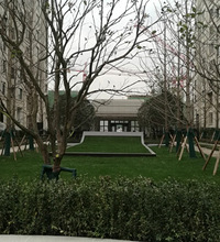 빫԰³󶼻ӷգˮƽﲻõոġ׼