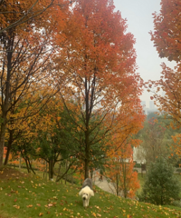 1Сʱѿĺõطвƺ޹û