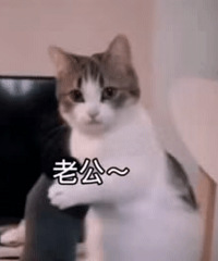 1215ֵάҽƿ50ֻ19ݷ69