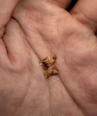 5Ӵû͹ʺ³ɡˮࡱ״һ۵ֱ